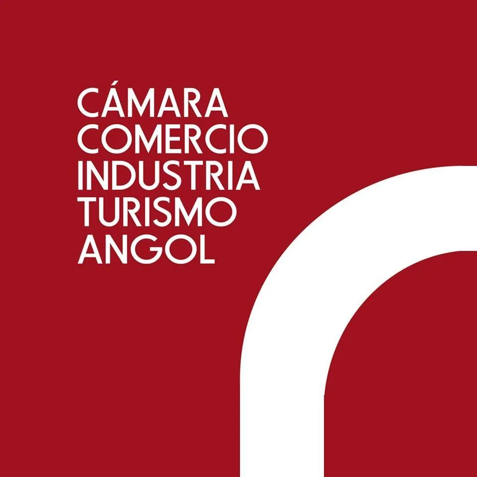 Entregando sitio de la Camara de Comercio de Angol