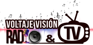 App Voltaje Visión Entregada