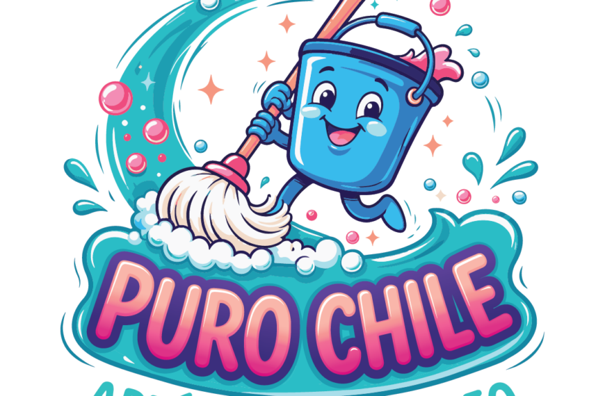 Tienda Puro Chile estrena plataforma web: una nueva forma de comprar artículos de limpieza a un clic
